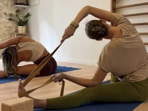 Yoga Iyengar Gingko Studio Montpellier