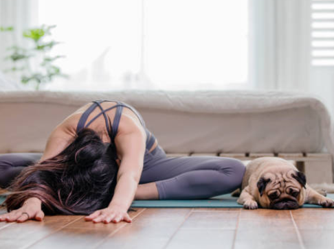 yoga à la maison avec le chien
